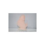 Prelungitor penis - model 2