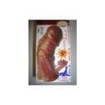 Prelungitor penis - model 3